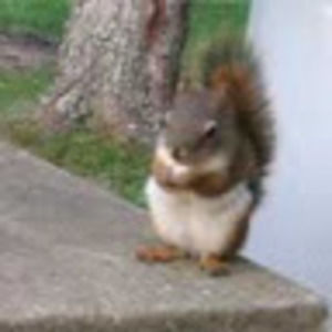 Meet your Posher, Adam